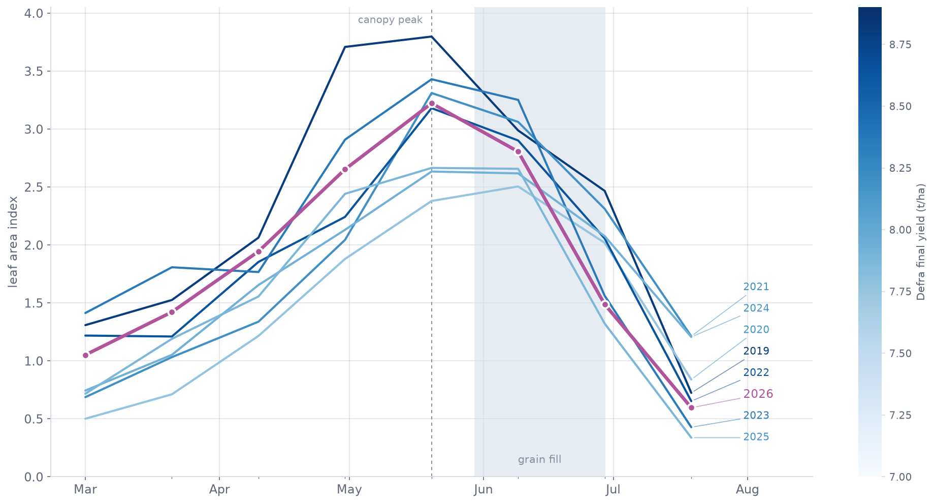 Seasonal leaf area trajectories for 2019 to 2026, each line shaded by the final yield that year produced, with 2026 highlighted, peaking fourth highest in late May and declining steeply from June.