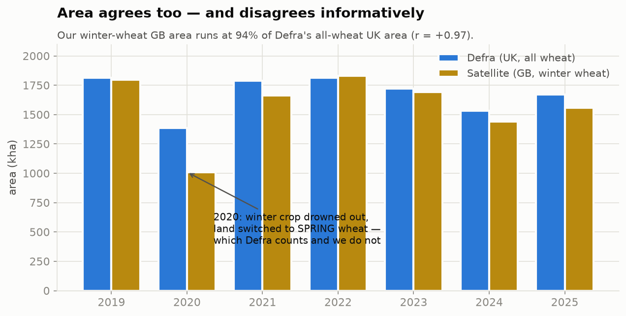 Grouped bar chart of wheat area 2019-2025, Defra UK all-wheat versus satellite GB winter wheat; 2020 shows a large gap.
